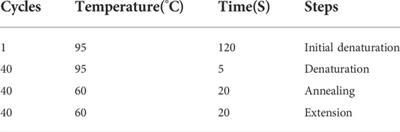 Antioxidant-based neuroprotective effect of dimethylsulfoxide against induced traumatic brain injury in a rats model